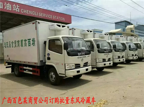 東風(fēng)藍(lán)牌冷藏車 東風(fēng)藍(lán)牌冷藏車