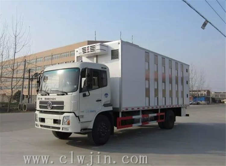 高端天錦豬仔運輸車