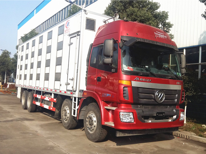 福田歐曼9米6不銹鋼拉豬車